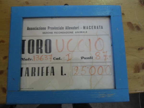 www.vendoecomprotutto.com www.vendoecomprotutto.com