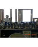 Dettaglio oggetto Stock Trofei
