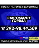 Dettaglio oggetto cartomante yoruba 000000000000